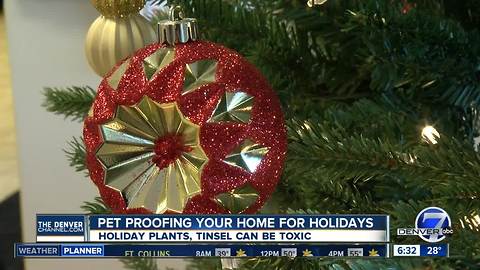 Pet proofing your home for the holidays