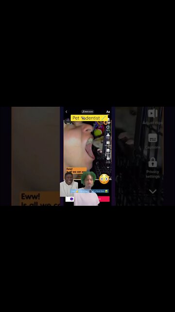 My Pet rat 🐀 is a dentist 🪥 #memes #shortfilm 🤮😂