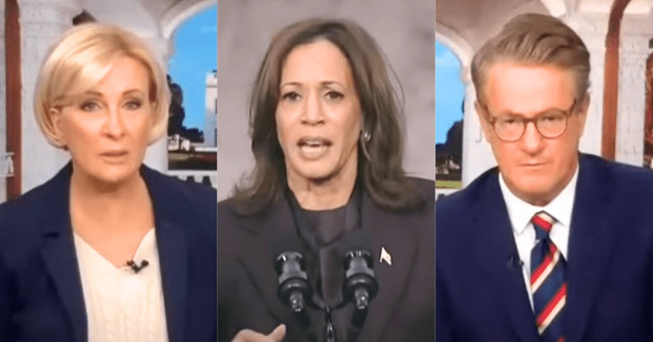 ‘Morning Joe’ Hosts Rip Identity Politics On-AirSurprising Rebuke Harris’ Landslide Election Loss