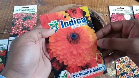 How To Grow Flower Seeds Fast (With Update)