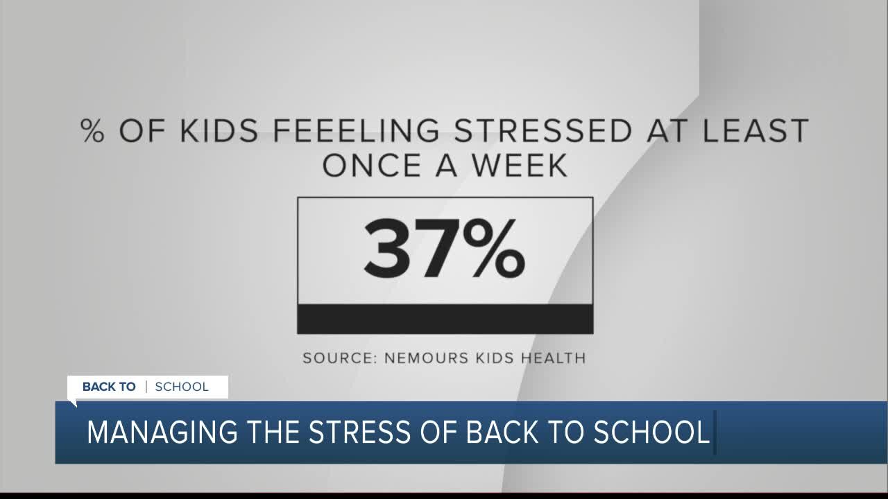 Child psychiatrists offer tips on how to handle the stress of going back to school