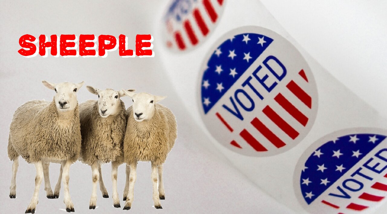 Message to the Voting Cattle