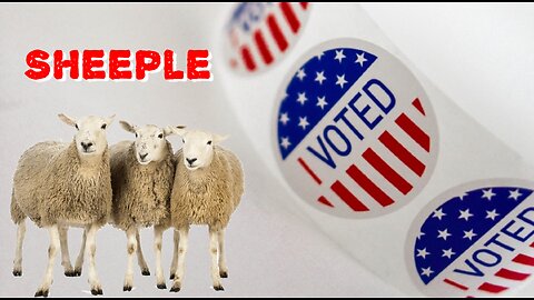 Message to the Voting Cattle