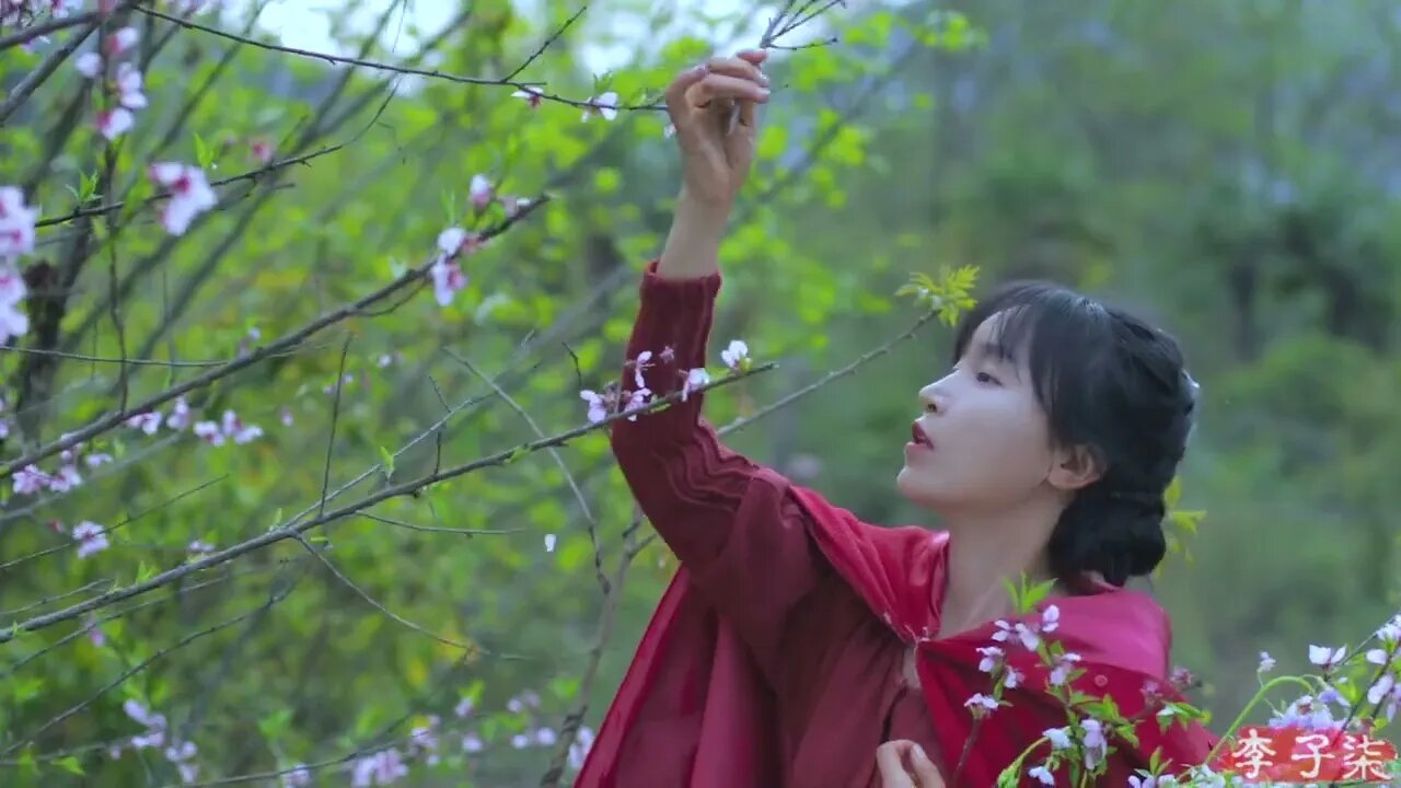 To have section on, peach blossom has reached the mountain, take a table, to the spring 3