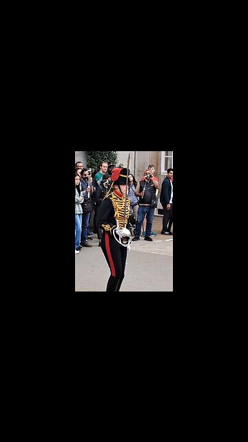 That was close #horseguardsparade