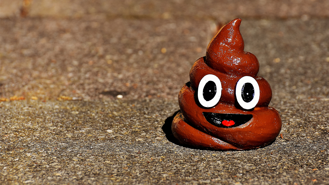 Why You Now Have Plastic in Your Poop