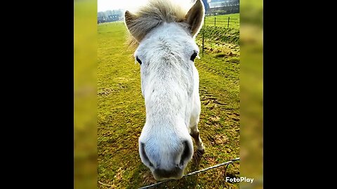 the journey (18 - 19 maart 2015)