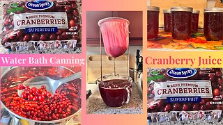 Make Your Own DELICIOUS Cranberry Juice at Home!