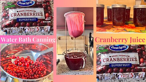 Make Your Own DELICIOUS Cranberry Juice at Home!