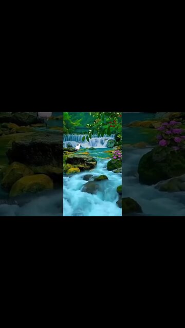 Beautiful Standing Bird In Nature #Shorts #ytshorts #UbertainmentFun #Dogs #Animals #Fun