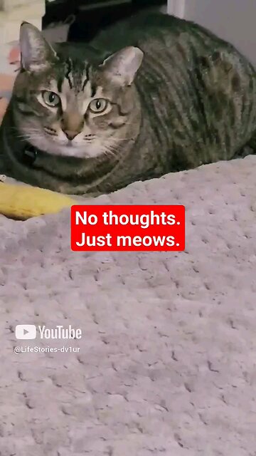 must watch! its only 14seconds😁🤣🔥