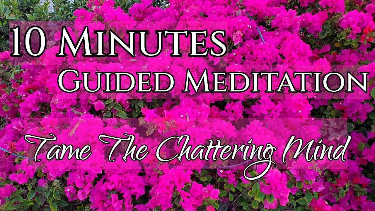 10 Minute Guided Meditation - Taming The Chattering Mind