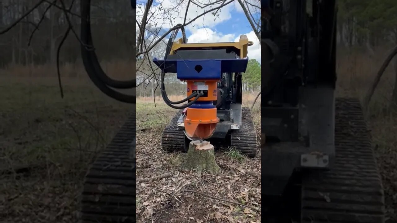 Best Video