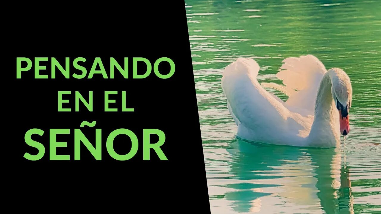 PENSANDO EN EL SEÑOR - Ep. #59