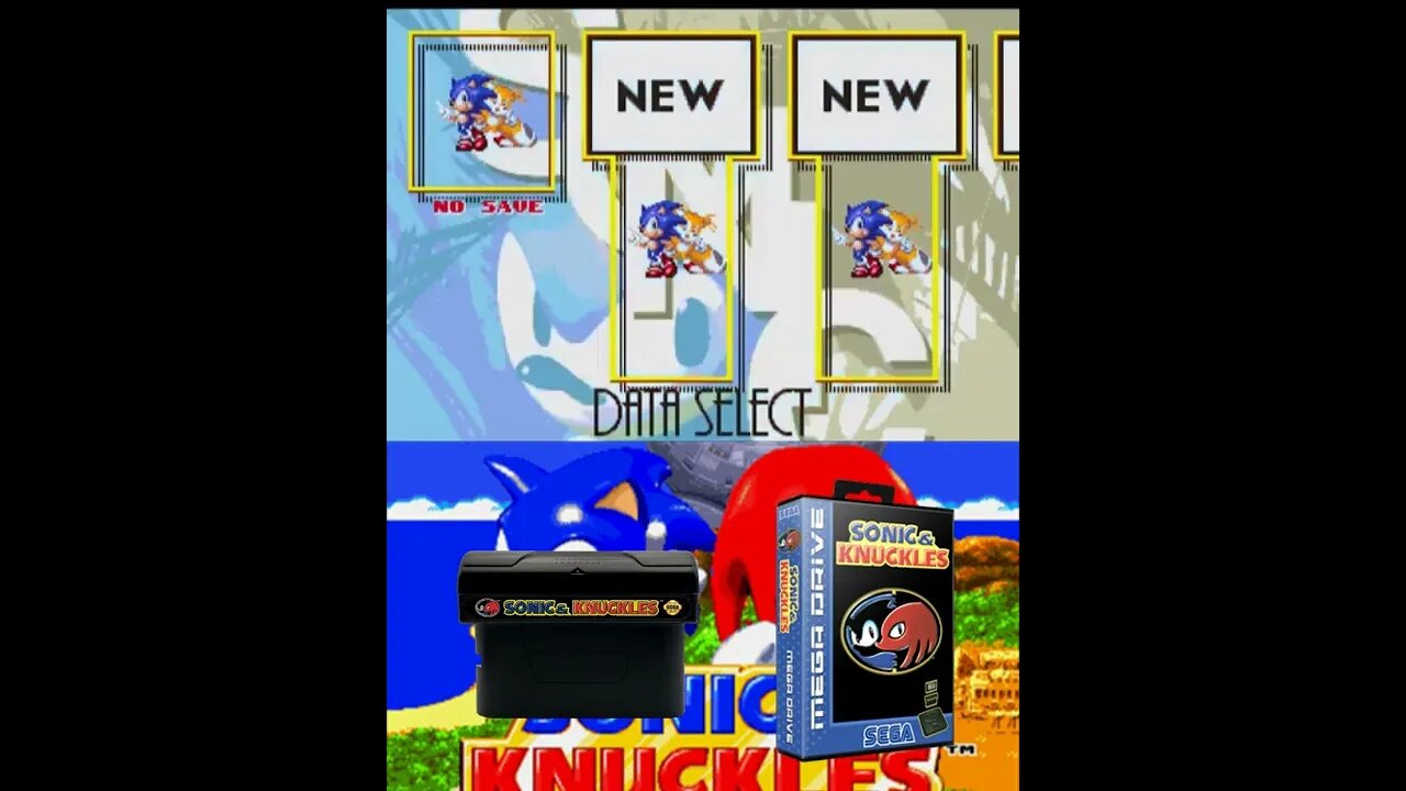 SEMANA DE FERIAS DO CANAL ZORDON OS MELHORES SHORTS DO CANAL - Sonic 3 & Knuckles