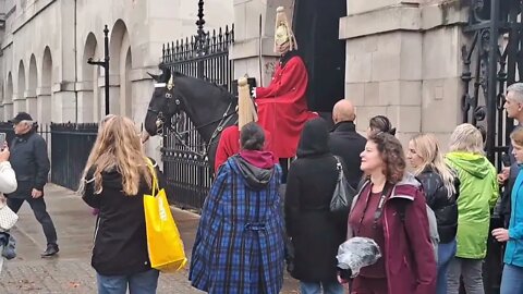 The kings life guards the red's #horseguardsparade