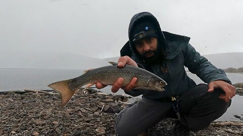 Short: Utah Splake in the snow!