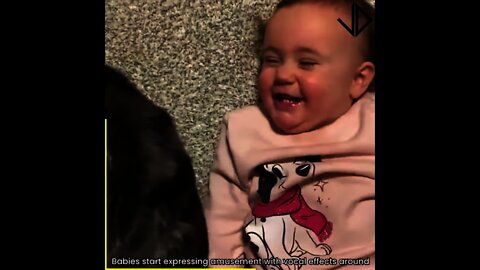 Adorable Babies Reactions