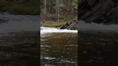 Waterfalls On Crown Land #shorts