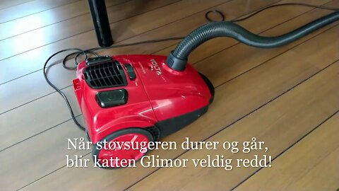 Glimor og støvsugeren