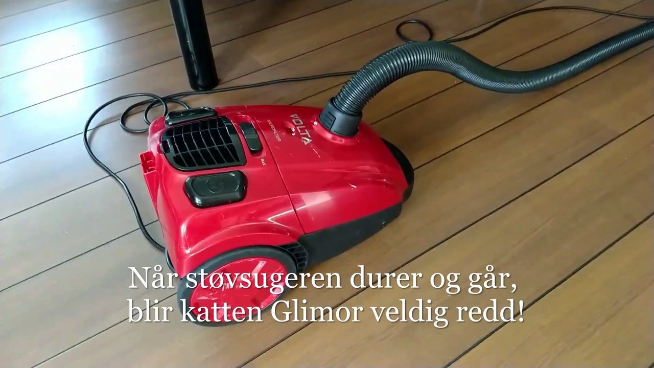 Glimor og støvsugeren