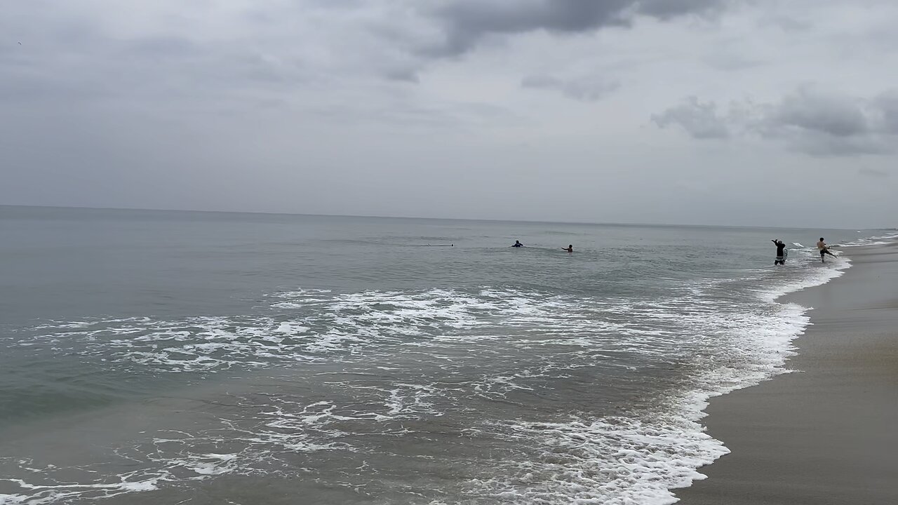 Young Fishermen Land Huge Hammerhead in Florida