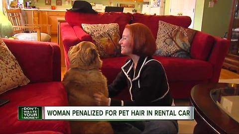 Woman penalized for pet hair in rental car
