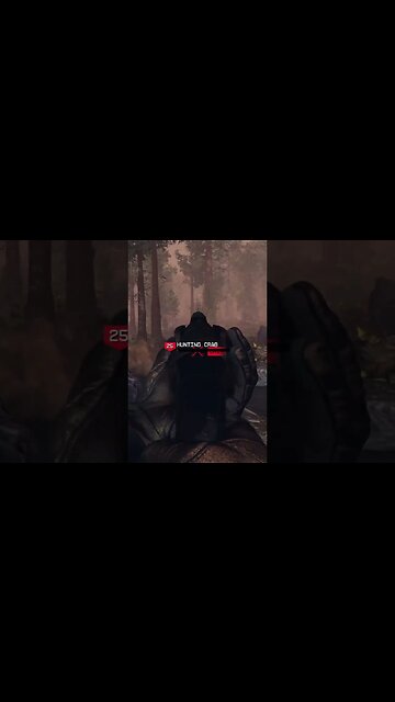 Its Crab Hunting Time