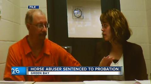 Horse abuser released on probation