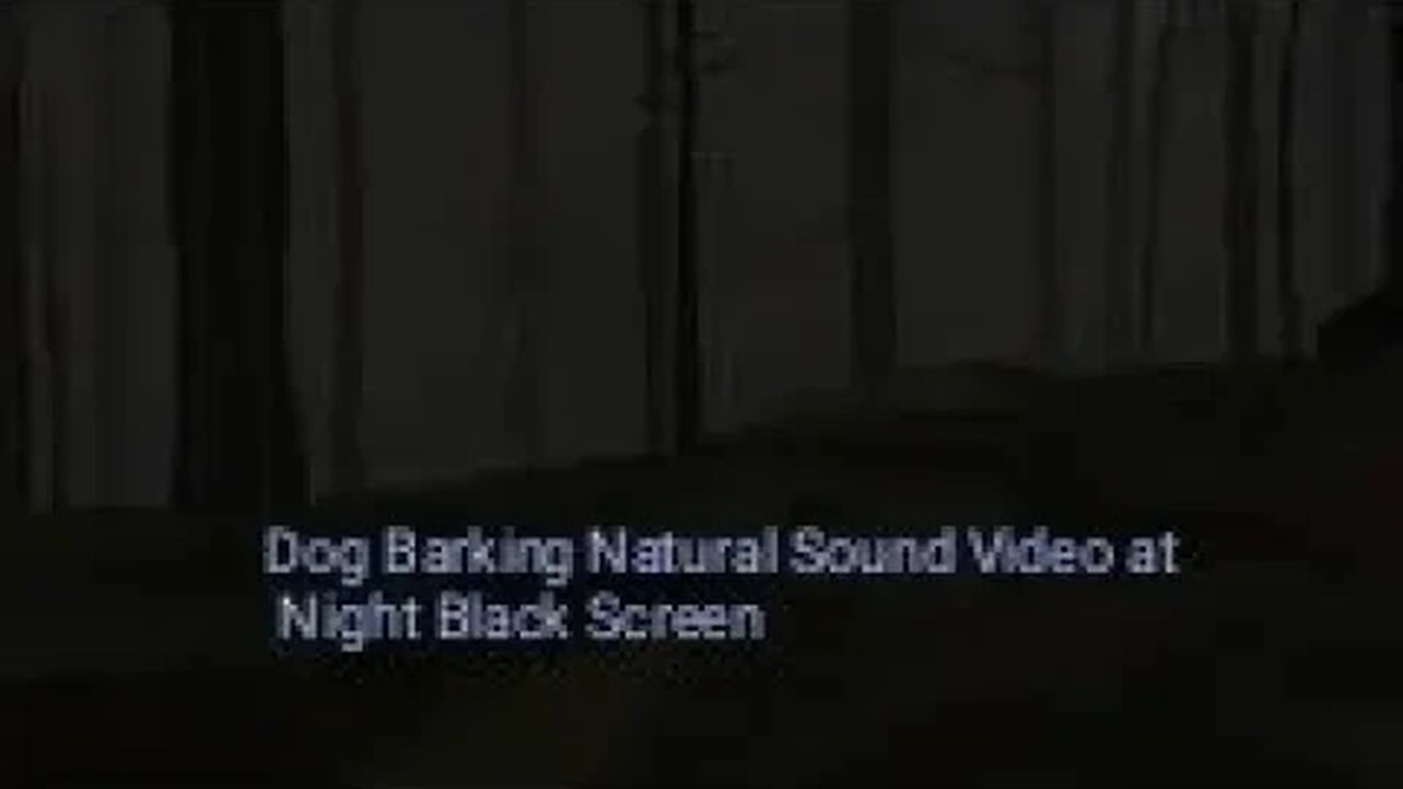 Natural Sound For Dog at Night Black Screen