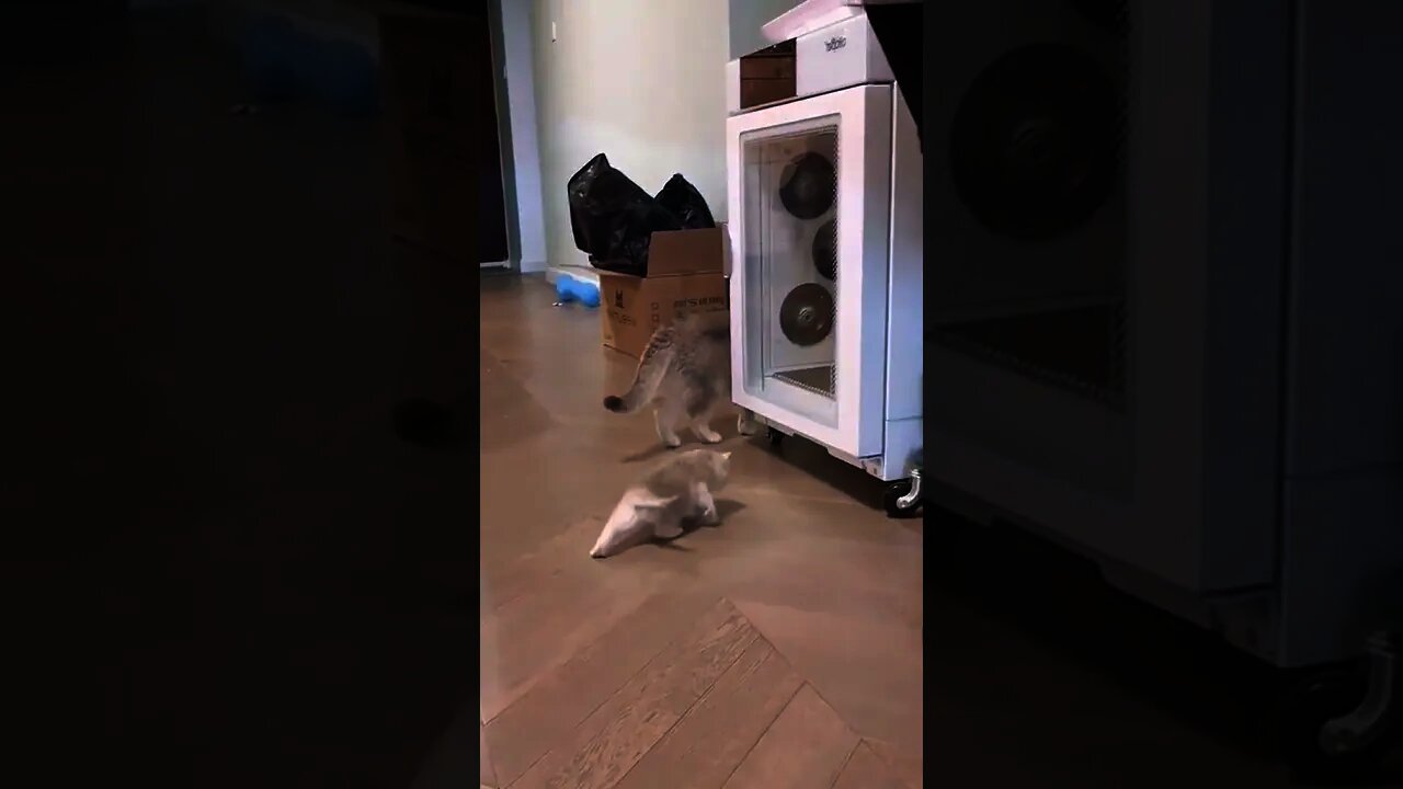 Induk Memangil Anak nya