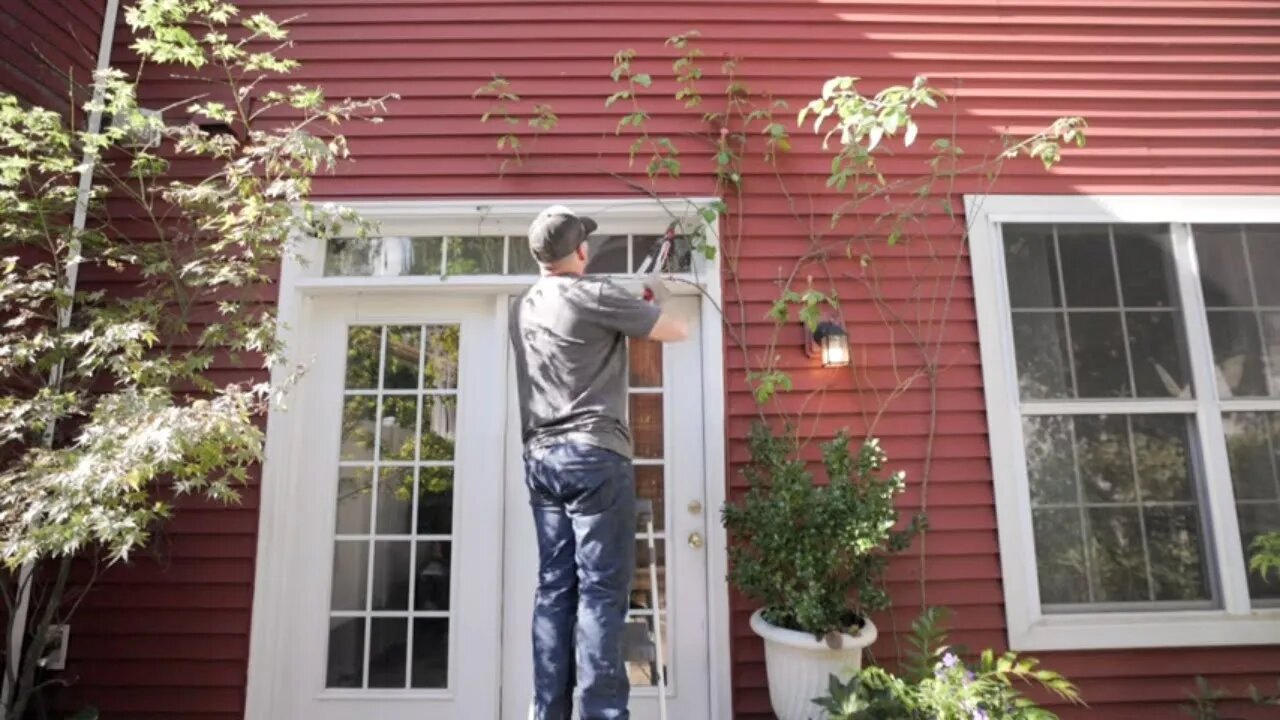 Cutting Down Gertrude Jekyll Climbing Rose | Garden Obsessions