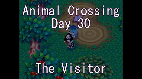 Animal Crossing: Day 30