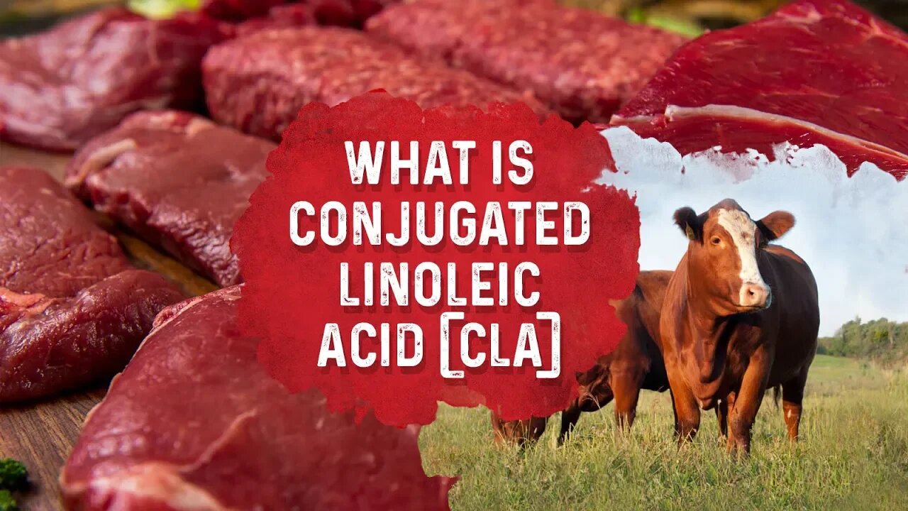 What Is Conjugated Linoleic Acid? – Dr. Berg