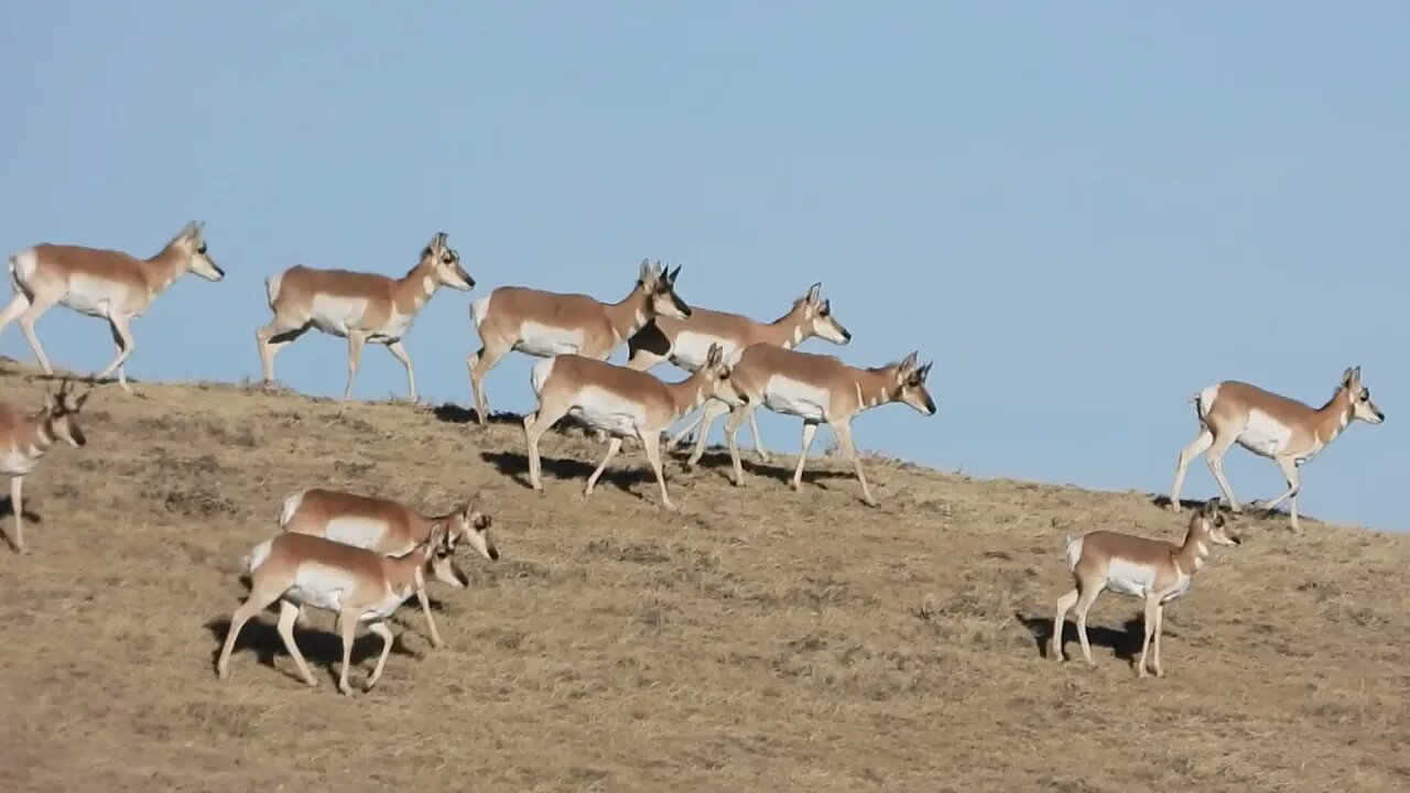 Sorry ... I Forgot To Panic