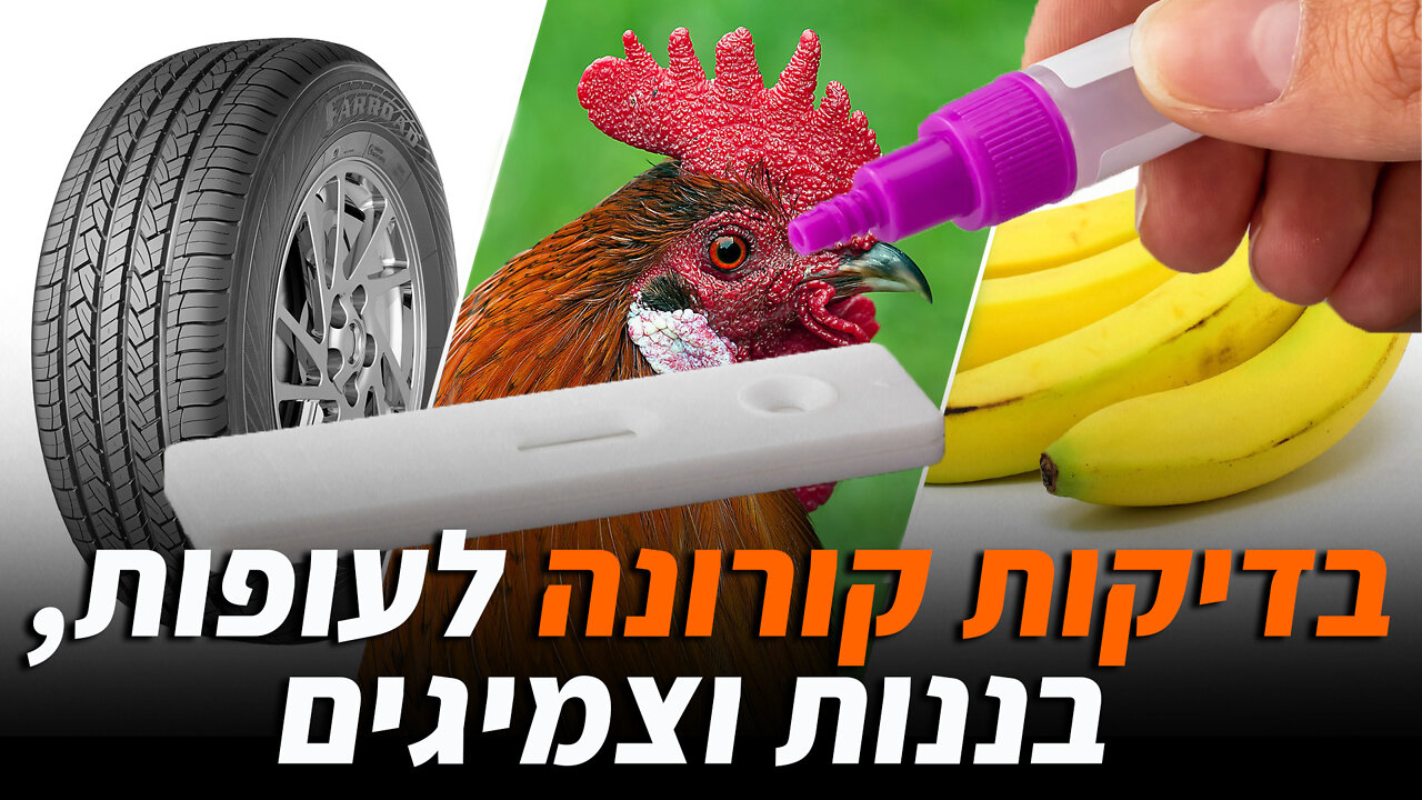 בדיקות קורונה לעופות, בננות וצמיגים