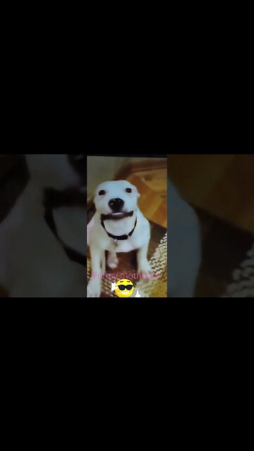 Funny moments #short