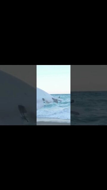 RELAXING MUSIC/DEEP SLEEP MUSIC/autumn ambience music #shorts