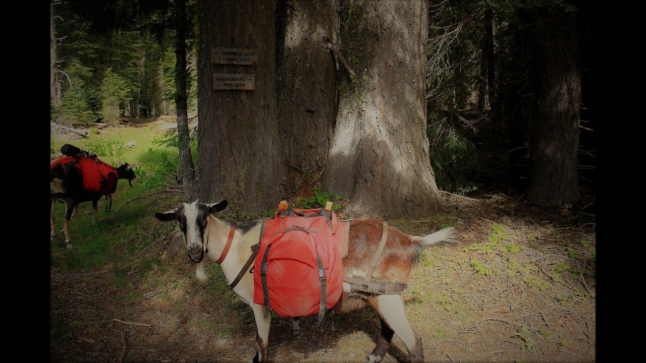 Marble Mt. Wilderness