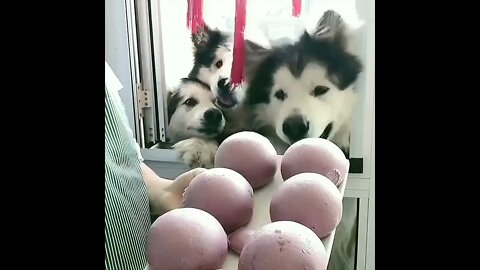 Who Wants One