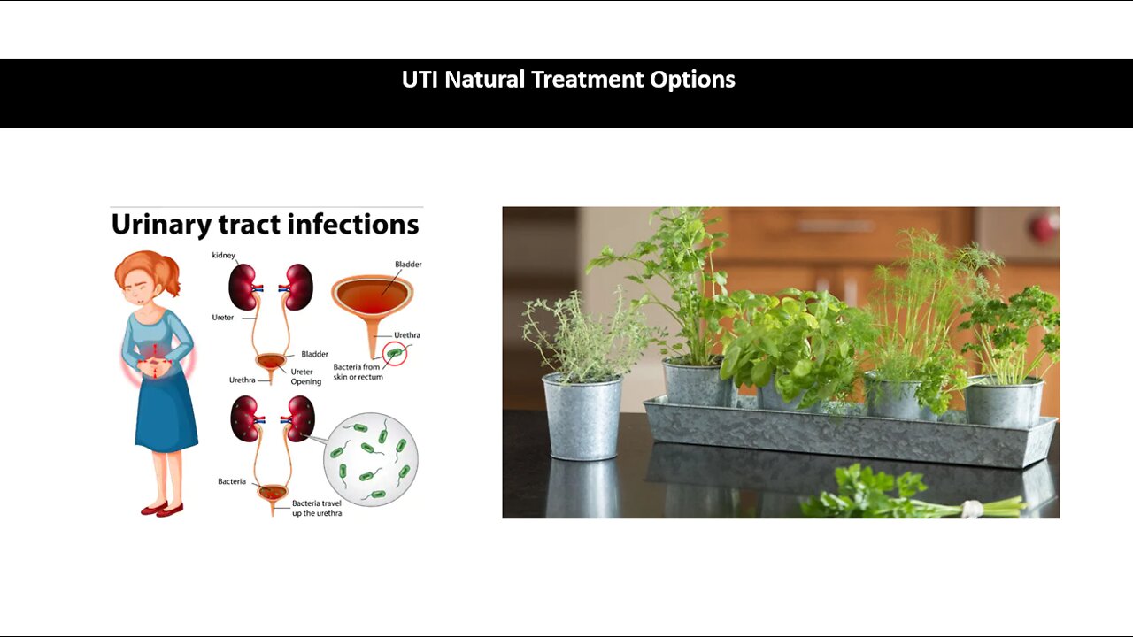 UTI Natural Treatment