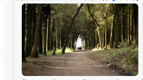 🟨 敲門志願者遇到一位 獨居老婦人 🟨