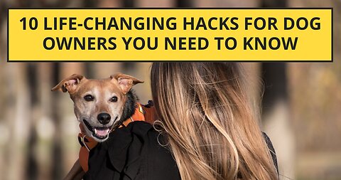 10 Life-Changing Hacks for Dog Owners You Need to Know