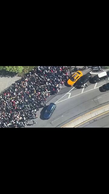 Thousands Of African Illegals Crowd New York City Hall For Hearing On 'Uprooting Anti-Blackness'