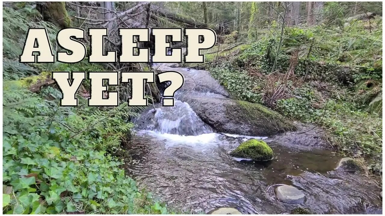 (audio) Fall asleep fast when you relax and find peace as you listen to the gentle flow of water.