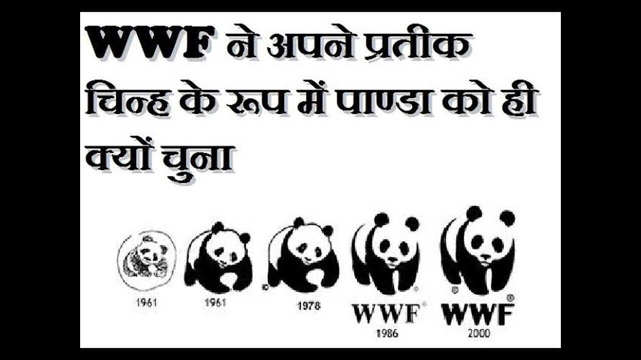 विश्व वन्यजीव संस्था WWFने अपने प्रतीक चिन्ह के रूप में पांडा को ही क्यों चुना