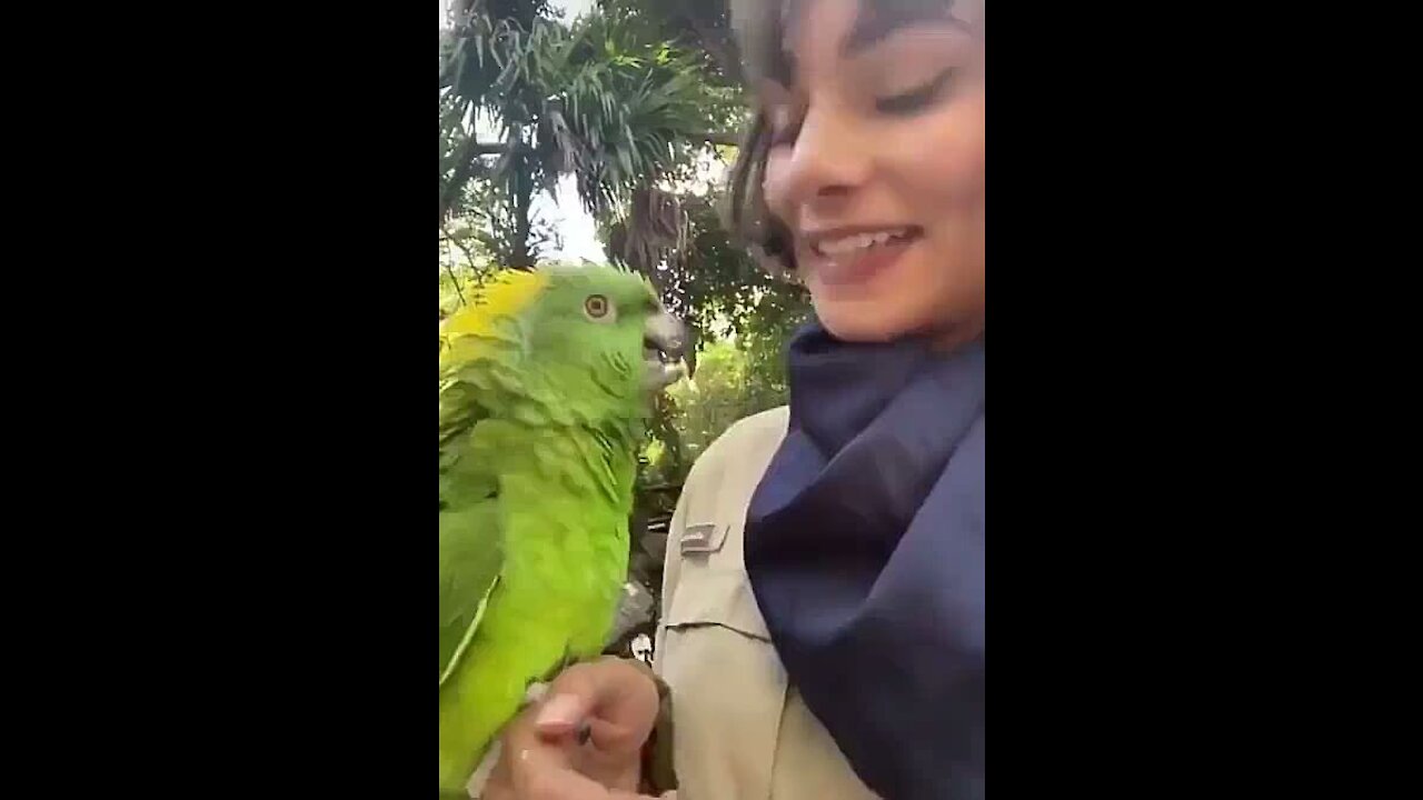 Parrot Sings with a girl