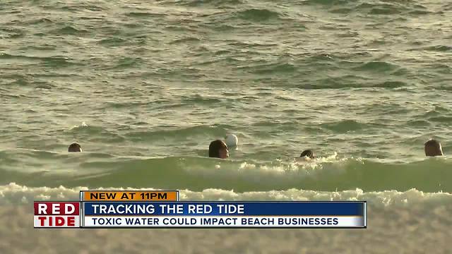 Southwest Florida tourists head to St. Pete and Clearwater beaches despite red tide