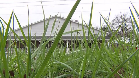 Don't blow your yard waste into the street in this community