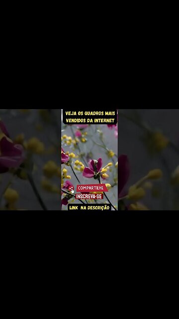 jim yosef volcano,jim yosef,volcano,jim yosef samurai,ncs release,jim yosef volcano,jim yosef